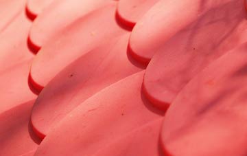 Wecock plastic roof costs