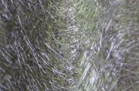 Wecock fibreglass roof work